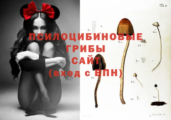 скорость Заволжск