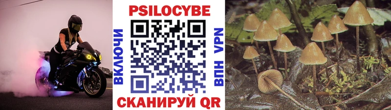Купить  Кашира  Галлюциногенные грибы прущие грибы 